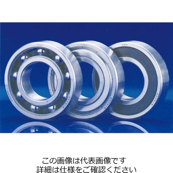 日本精工 ステンレス軸受 SS6202ZZーT 1セット(4個)(直送品 日本精工 ステンレス軸受 SS6202ZZーT 1セット(4個)(直送品