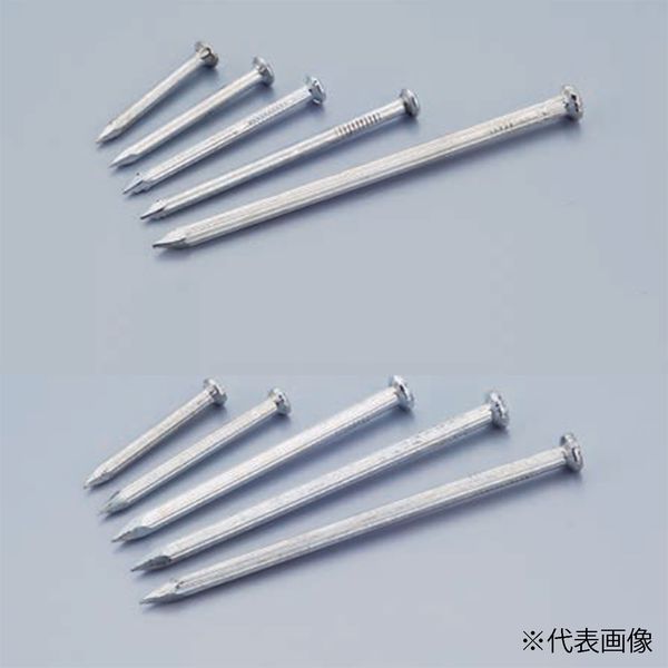 Amatei（アマテイ） コンクリート釘 500g SP 12×25 20箱（直送品