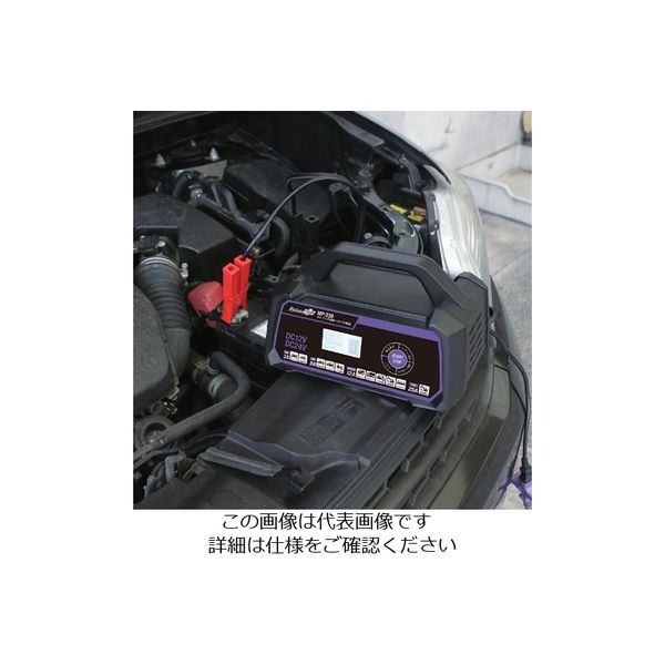 エスコ AC100V/4ー176Ah 自動パルス充電器 EA815YA-44 1台（直送品