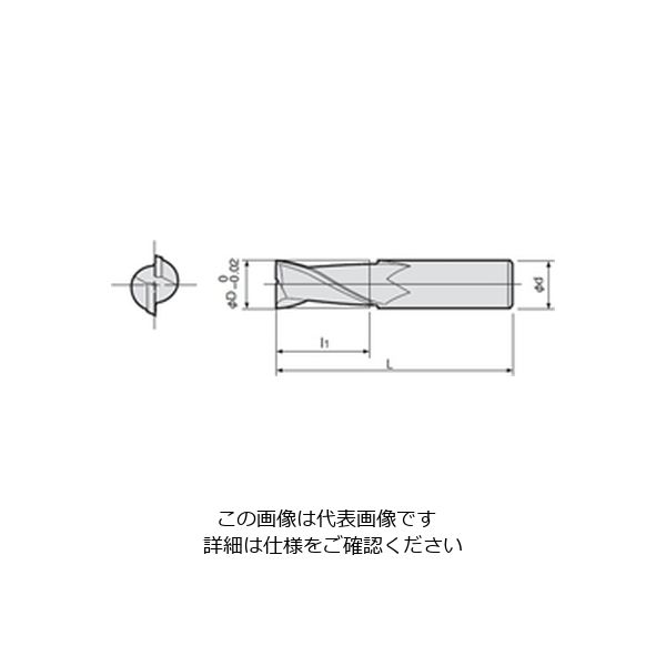 ダイジェット工業 ソリッドエクストラロングエンドミル EXLーE2形 EXLーE2ー10X100 EXL-E2-10X100 1個（直送品） -  アスクル