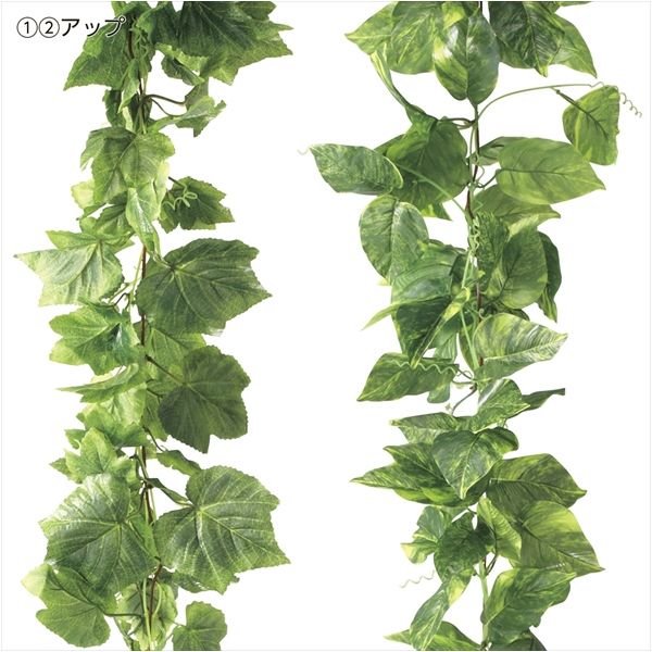 ストア・エキスプレス デラックスガーランド ポトス3本 8724-336 1