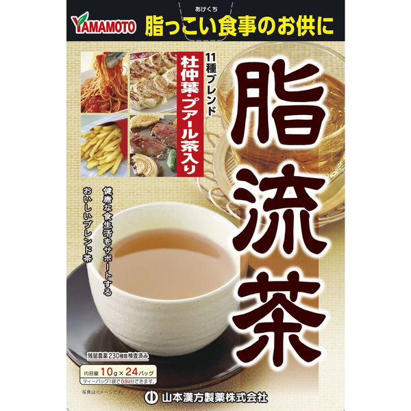 山本漢方製薬 脂流茶 1セット（10gX24包×2箱） 健康茶