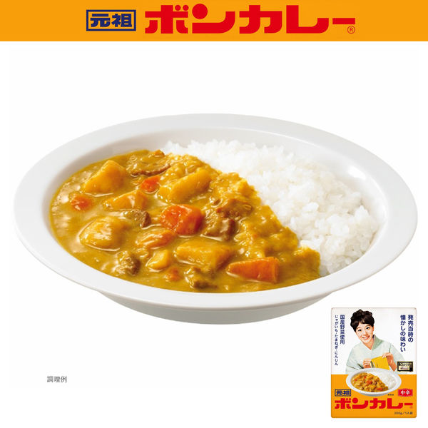 大塚食品 元祖ボンカレー 1セット（5個） - アスクル