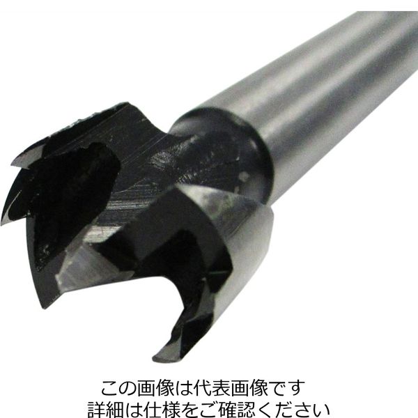 アークランズ GREATTOOL ザグリカッターセット 木工用 5本組 ZAC