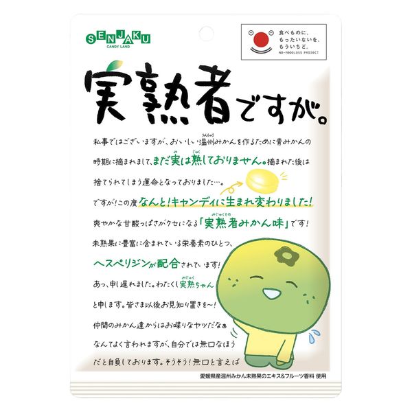 状態悪　キャンディキャンディ　大ずかん キャンディ・キャンディ大ずかん いがらしゆみこ ポケットカラー