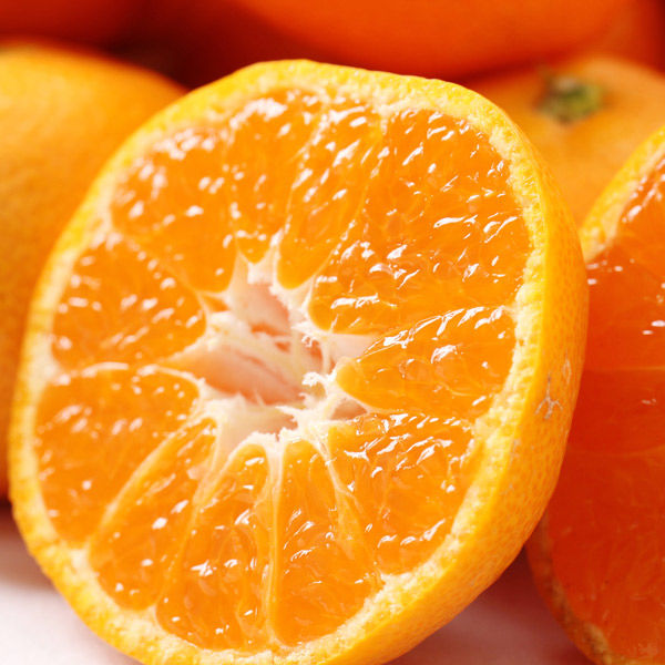 ベジテック 愛媛県産 味ピカみかん 2.5kg vege227 1ケース(2.5kg