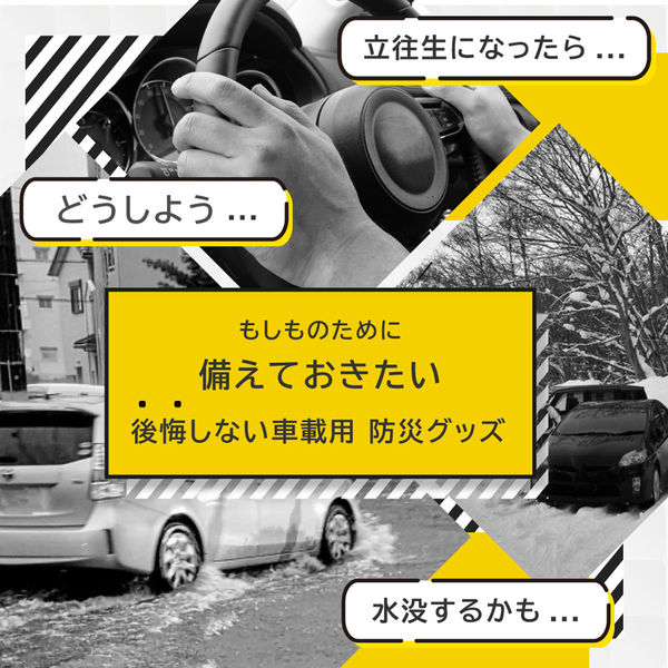 車載用防災セットDX リュックタイプ オレンジ 10セット 防災