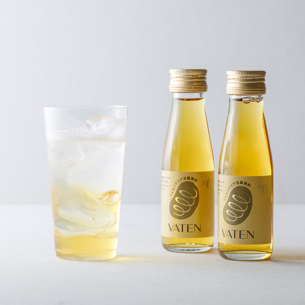 VATEN バテン 100mL 10本入 1ケース 福光屋 - アスクル