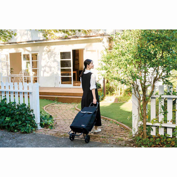 レップ ルシア カート グレー REP-550618as カート – レップ公式