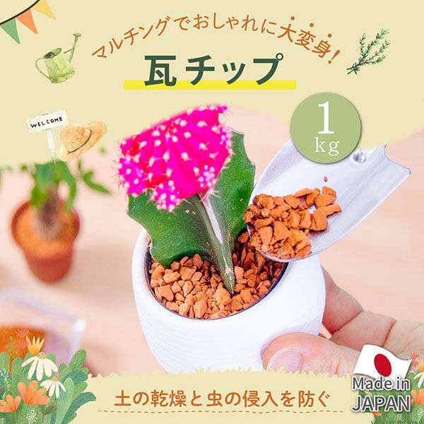 アストロ 瓦チップ1キロ 602-71 1個（直送品） - アスクル