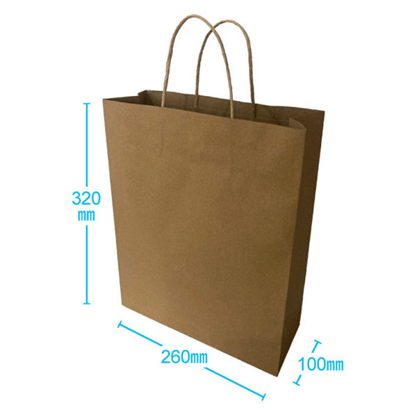 三和 クラフト紙袋 Mサイズ PB-2632 1箱(420枚入)（直送品） - アスクル