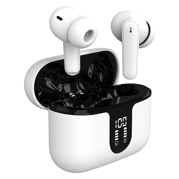 カシムラ スマート完全ワイヤレス ステレオイヤホン ANC/AAC/防水 BL