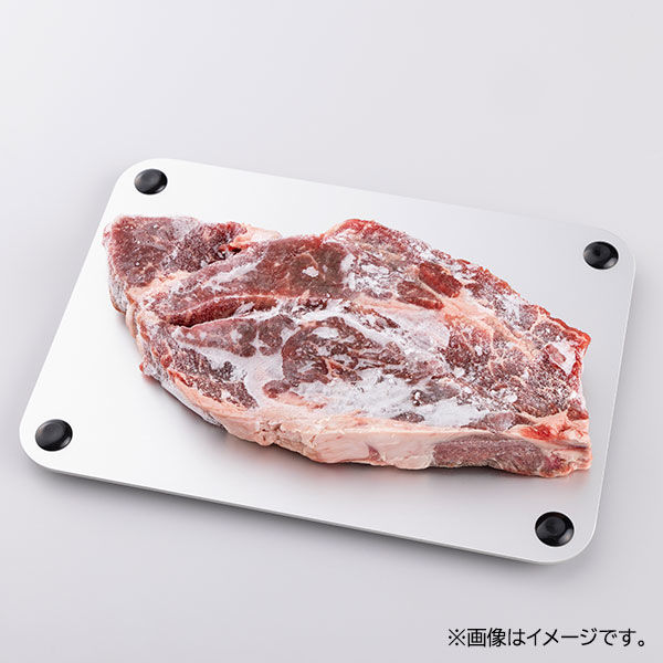 貝印 解凍プレート アルミ製 解凍 粗熱取り 000DL7247 1個