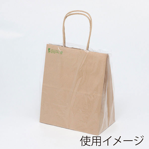 シモジマ HEIKO ポリ袋 バイオレイニーポリ 24-35 (21-12用