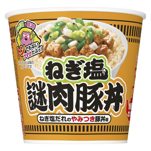NISSIN 京うどん1ケース20食入り & 江戸そば1ケース20食入り セット 日清カップヌードル ねぎ塩謎肉豚丼 1セット（1個×6） 日清食品