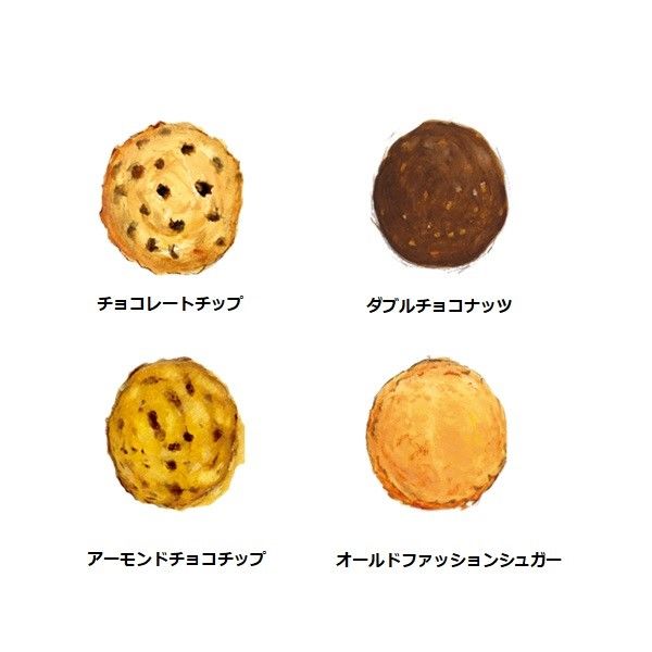 アウトレット】アントステラ ステラズセレクト(M) 70503 1個 アウトレット】アントステラ ステラズセレクト(M) 70503 1個