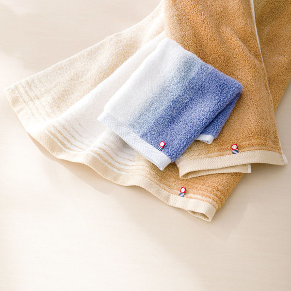 昭和西川 バスタオル2枚セット 22709-48112-006 1個（直送品） - アスクル