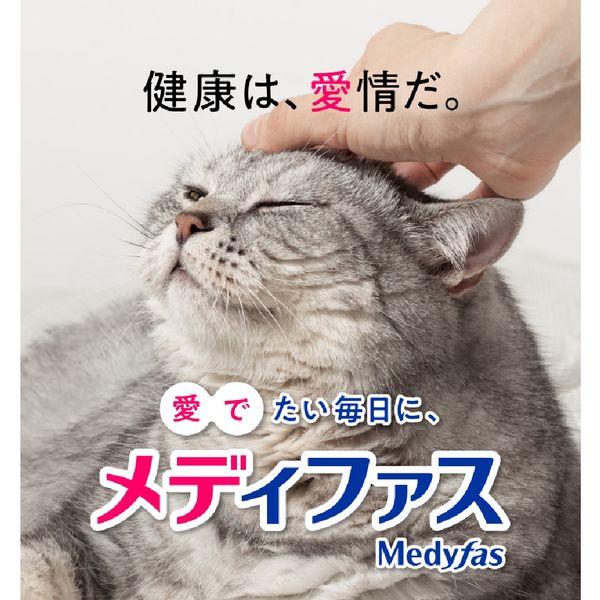 メディファス 1歳から 下部尿路 フィッシュ味 国産 150g 1個