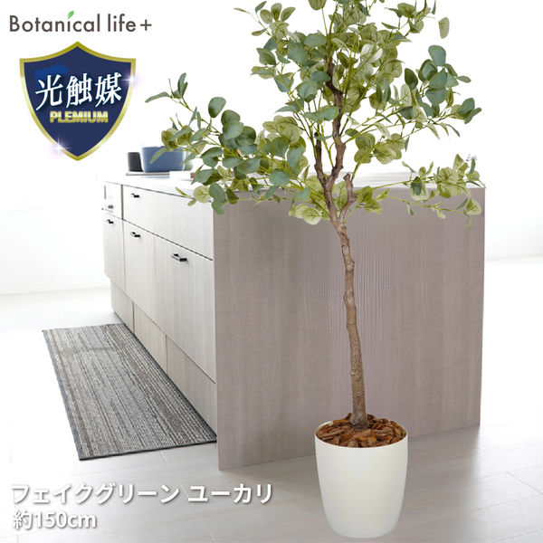 植物家具 150cm ユーカリ 観葉 植物 ユーカリ フェイクグリーン 高さ