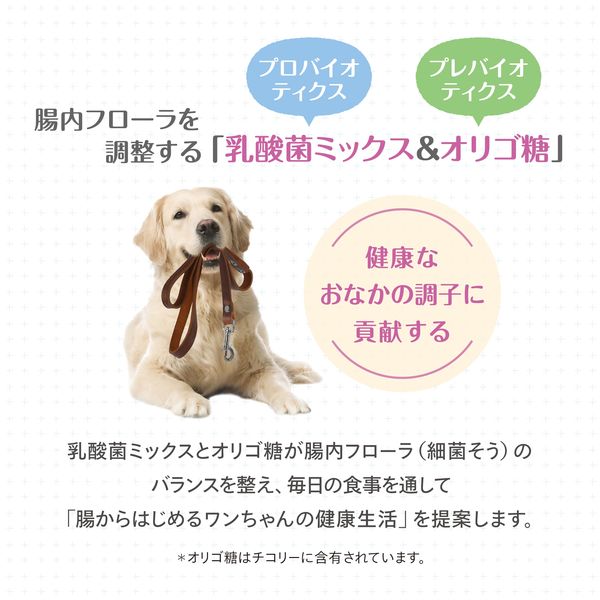 森乳 スーパーゴールド おなかラボ 成犬用 ドライフード 2.4kg 1