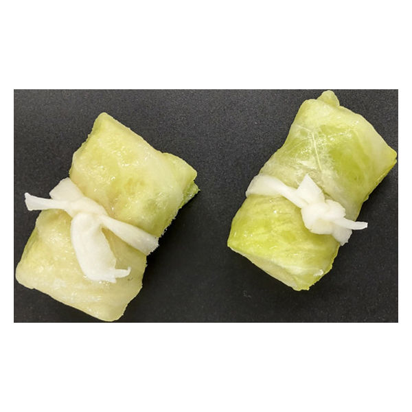 神栄 ロールキャベツ(鶏肉)40g 16010-1040 1袋(25個入)（直送品