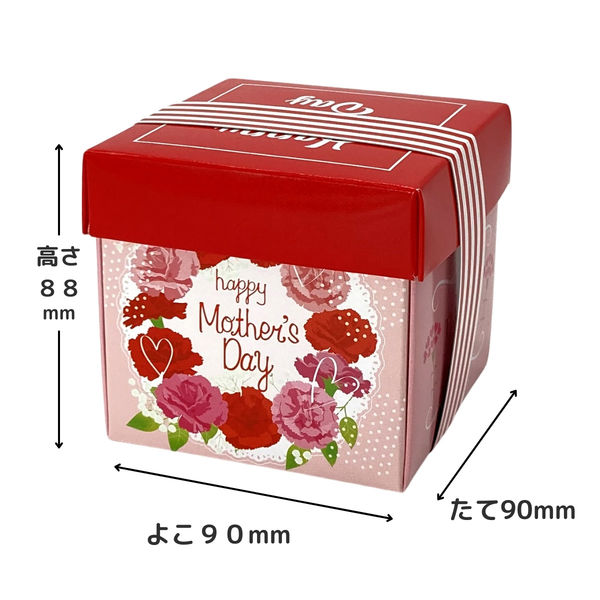 プレゼントボックス オプションのみ可☆オーダー可☆ オクト 母の日ベルトBOX 59010219 1ケース(50枚入)（直送品） - アスクル
