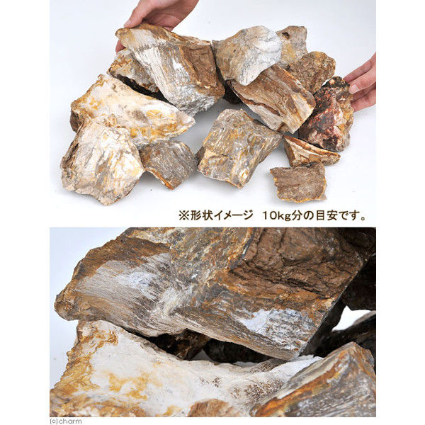 形状お任せ 木化石 サイズミックス 10kg 115656 1個（直送品） - アスクル