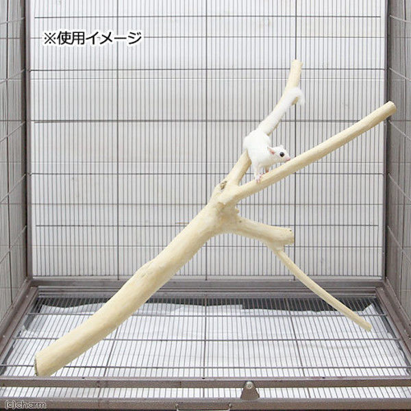 各種ケージ用 鳥専門店 BIRD MORE