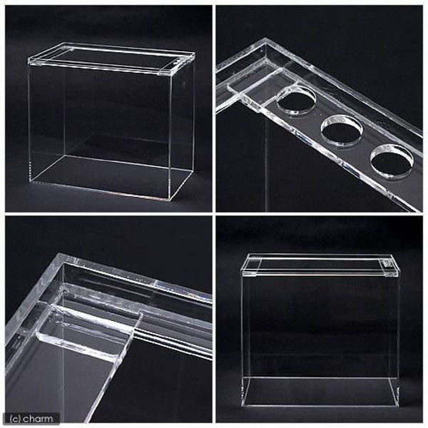 KOBAX Kansai（コバックス関西） アクリル水槽 ラクシス No.28 40×25