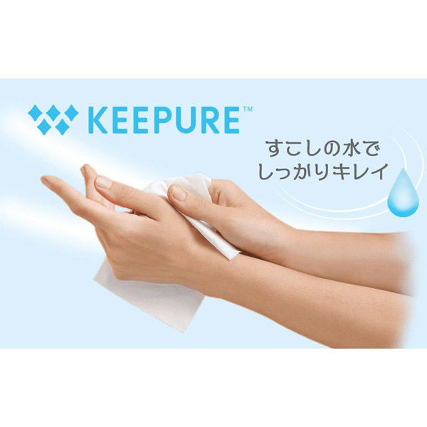 富士フイルム和光純薬 除菌ドライシートKEEPURE 160枚入り 296 富士フイルム和光純薬 除菌ドライシートKEEPURE 160枚入り 296