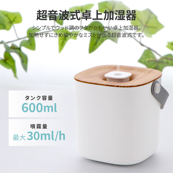 卓上型加湿器 透明　ハンドル付き　加湿器 卓上加湿器 コードレス 超音波式 加湿器 小型 卓上 ダブル噴霧