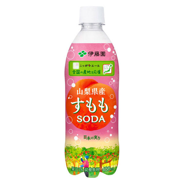 【48本セット】伊藤園 ニッポンエール 山梨県産すももソーダ (480ml) 伊藤園 ニッポンエール 山梨県産すももソーダ 480ml 1セット（48本