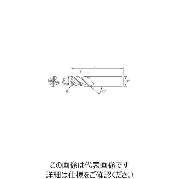 丸一切削工具 THECUT 超硬4枚刃ラジアスエンドミル（TiALNコーティング） IC4MRS 10X1R 1本（直送品） - アスクル