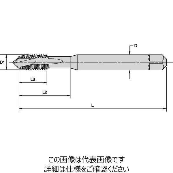 HSS-E スパイラルポイントタップ （M12X1.75） DIN376 精度6H（5368553