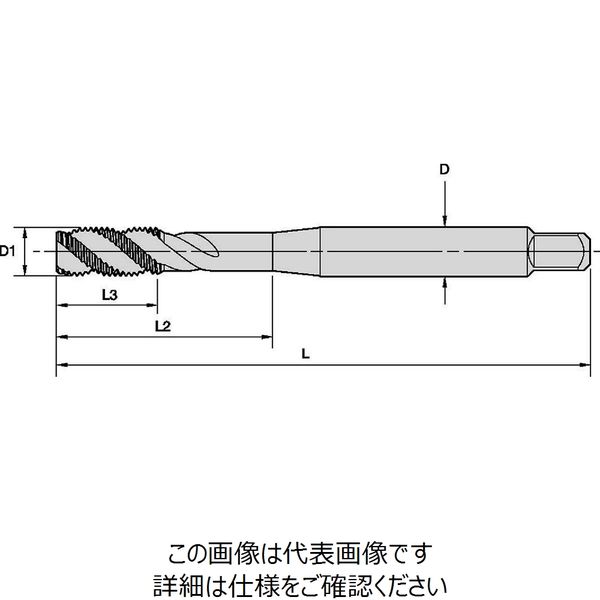 HSS-E スパイラルフルート タップ （No.10-32 UNF） DIN371 精度2B（6172787）（直送品） - アスクル