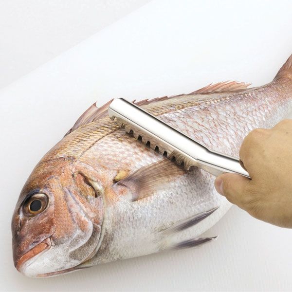 パール金属 うろこ取り 魚の鱗とり ステンレス製 219378 1個