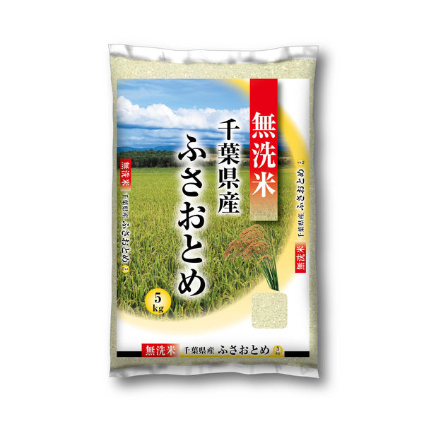 千葉県産 ふさおとめ 10kg（5kg×2） 【無洗米】 令和5年産 米 お米