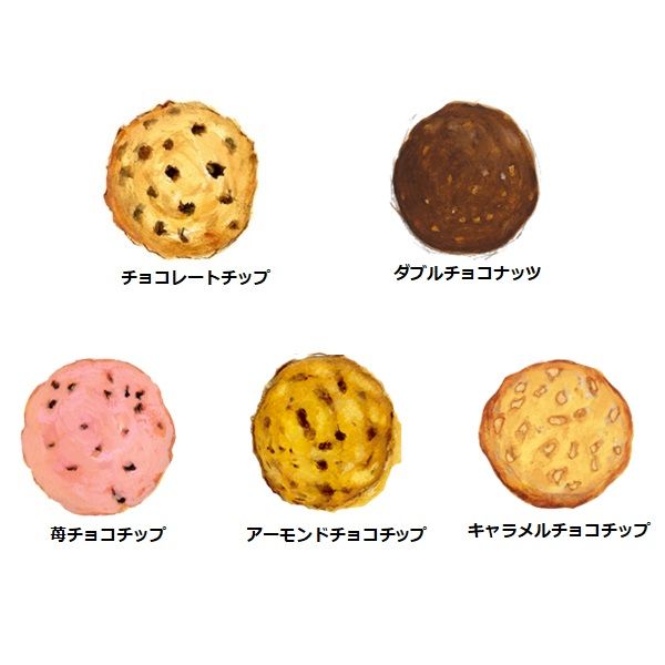 ステラおばさんのクッキー チョコチップセレクト 1個 アントステラ バレンタイン ホワイトデー ギフト プレゼント