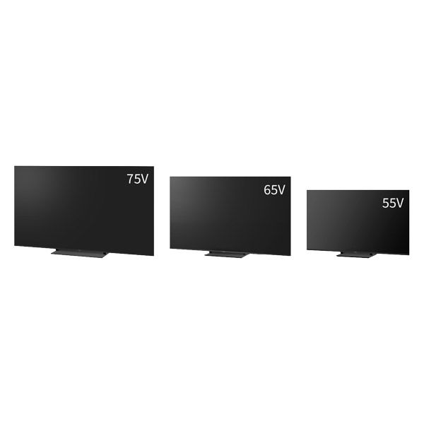 Panasonic パナソニック 4K液晶ビエラ 55V型 TV-55W95B 1台（直送品