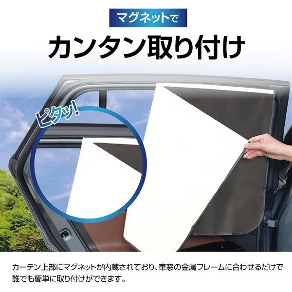 セイワ 楽らくマグネットカーテン L ラディクール Z121 1個（2枚入