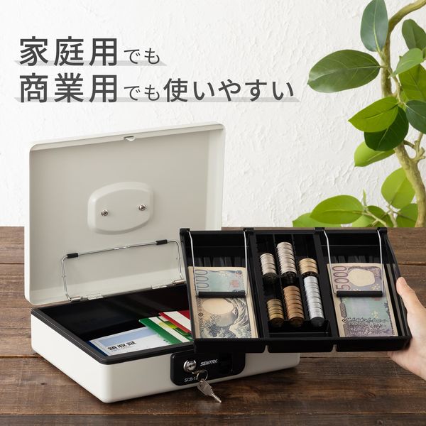 マスターロック・セントリー日本 SCBシリーズ 手提げ金庫 キャッシュ