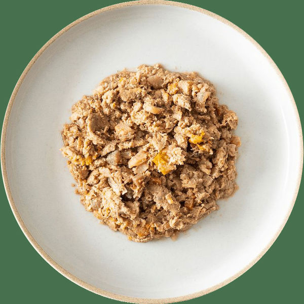 ココグルメ・レトルト ジビエ＆ビーツ 無添加 国産 100g 1個 バイオ
