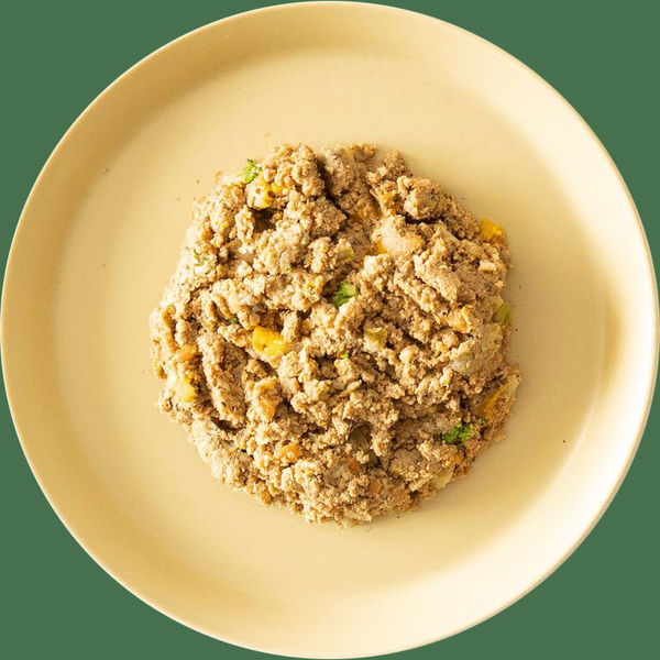 ココグルメ レトルト フィッシュ＆パンプキン 無添加 国産 100g 1個
