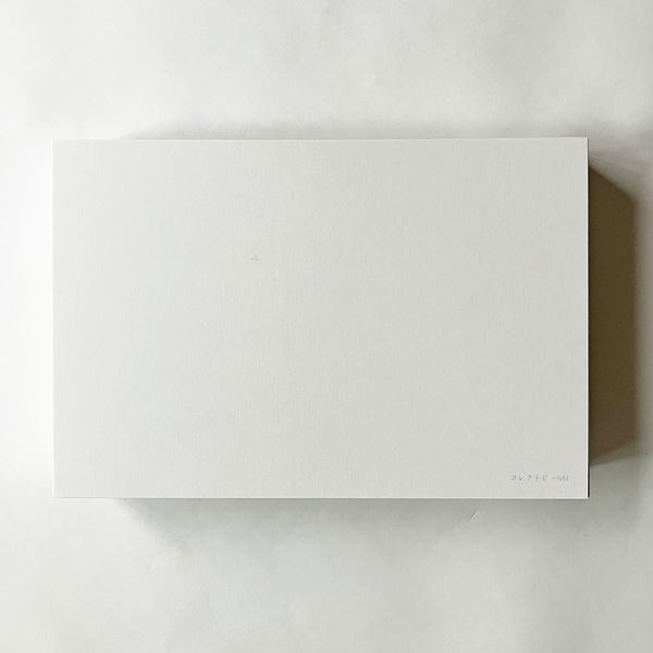 コレクト 情報カード 6X4 無地 C-641 1セット(1冊×10)