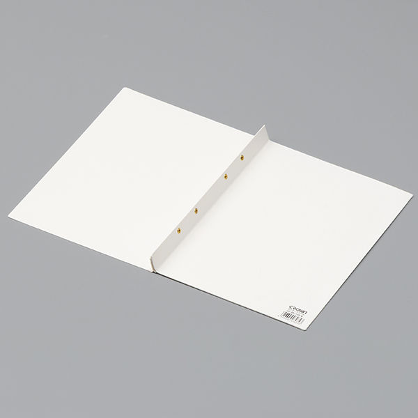 クラウングループ エイナーファイルA4判S型(W)4穴 白 CR-AN1109