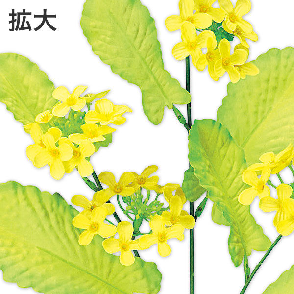 菜の花様確認用 特価正規品 - clinicaviterbo.com.br