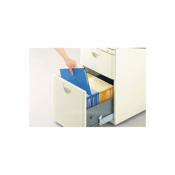 ライオン事務器 カラーファイル No.800 A4 黒 12840 1セット(3冊 ライオン事務器 カラーファイル No.800 A4 黒 12840 1セット(3冊