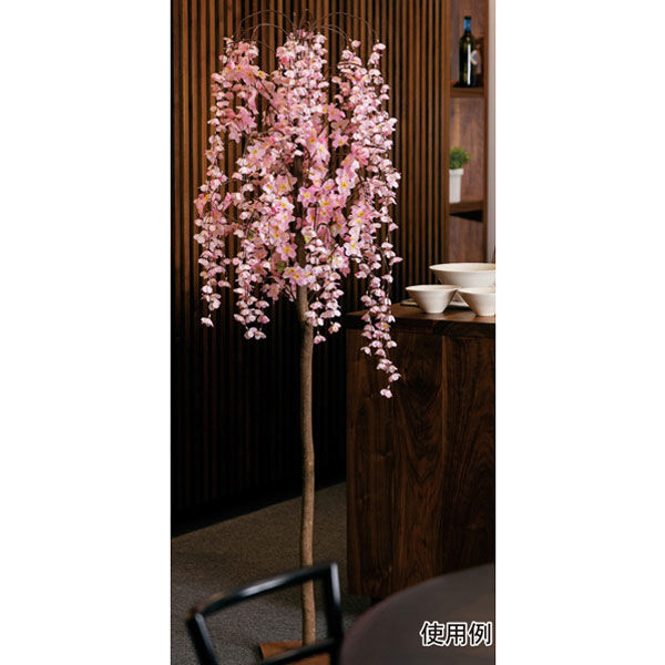 ストア・エキスプレス シダレ桜立ち木 特大 8784-4667（直送品