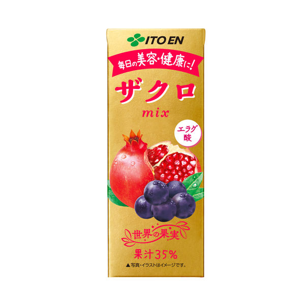 伊藤園 ザクロミックス エコパック (紙パック) 200ml 1箱（24本入