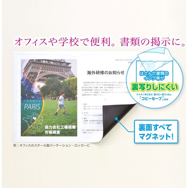 マグエックス マグネットカードケース ツヤ消し A5 MCARD-A5M 1セット（2枚）（直送品） - アスクル